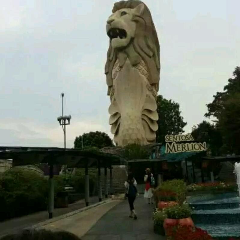 中国加油汽车教练