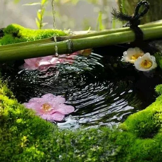 农贸市场商铺摊位王豪