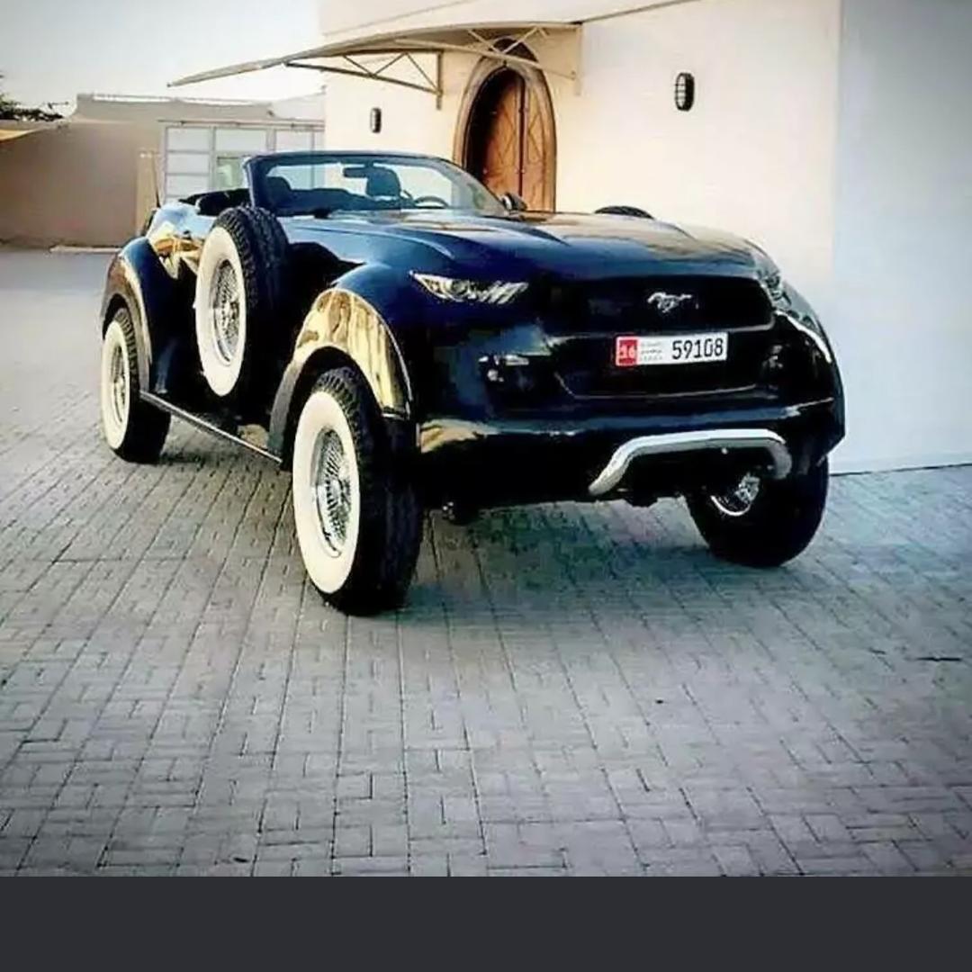 【拼搏】ω至上•