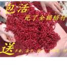 泗县同富红虫批发部
