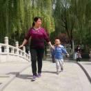 优雅枫叶