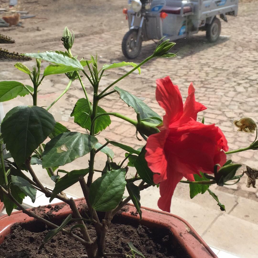 手机用户749n5a开心就好