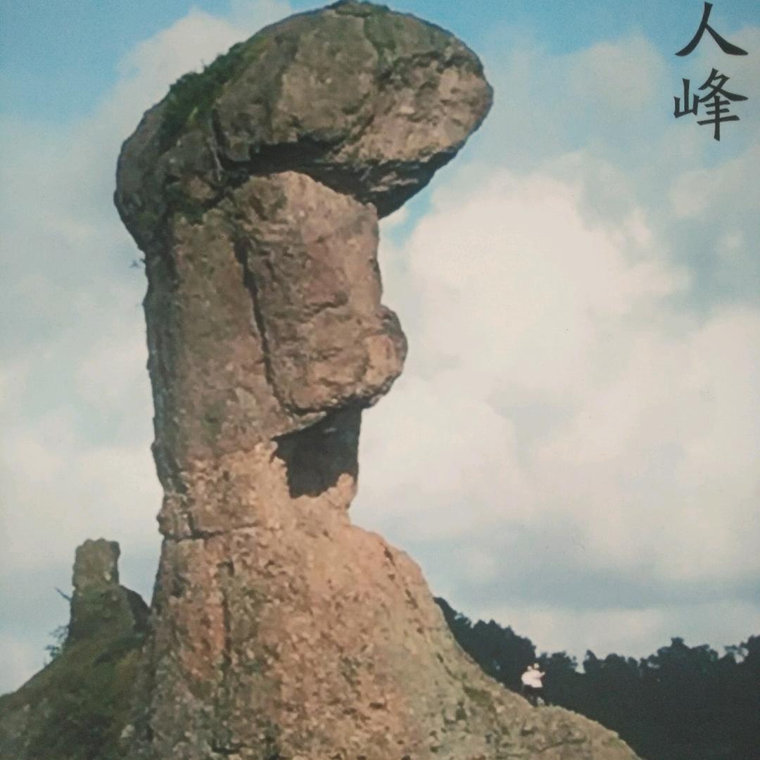 彬彬有礼