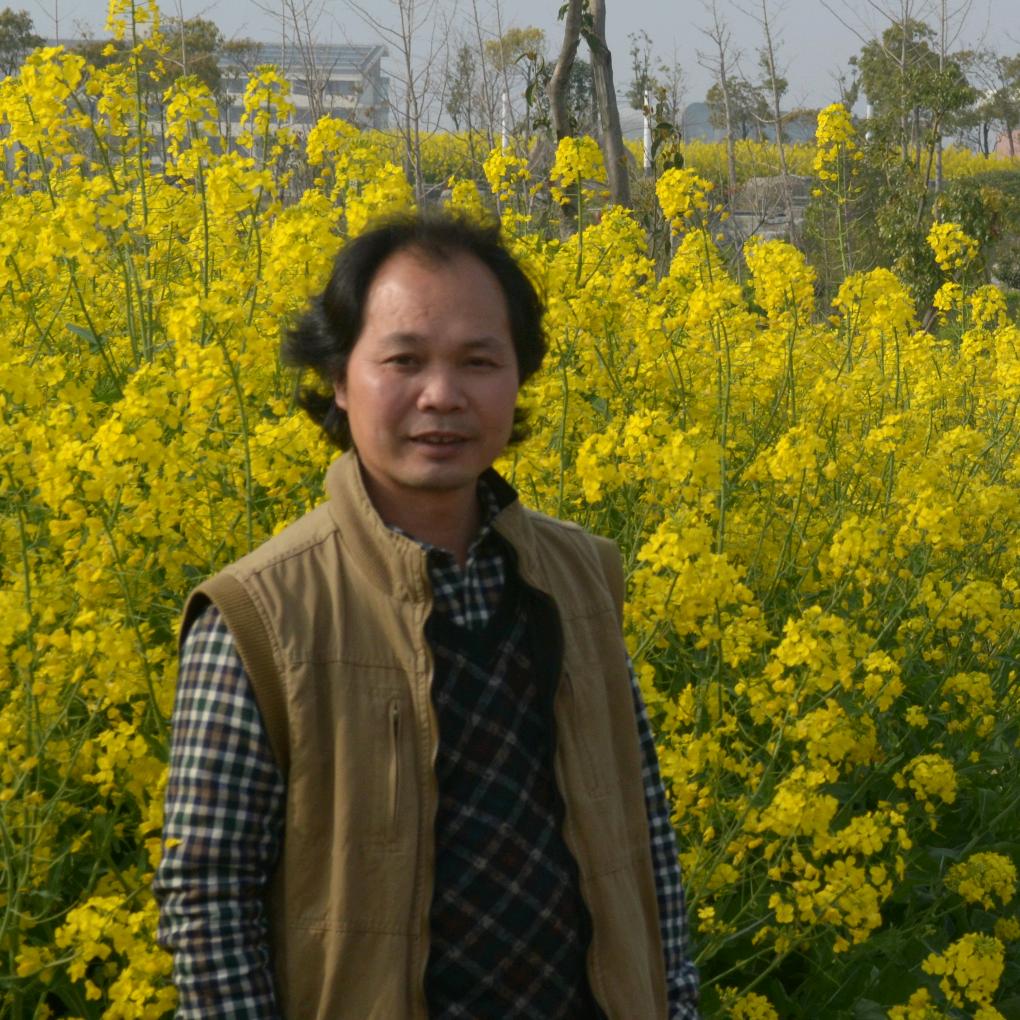 九鸿堂李达旭/书法