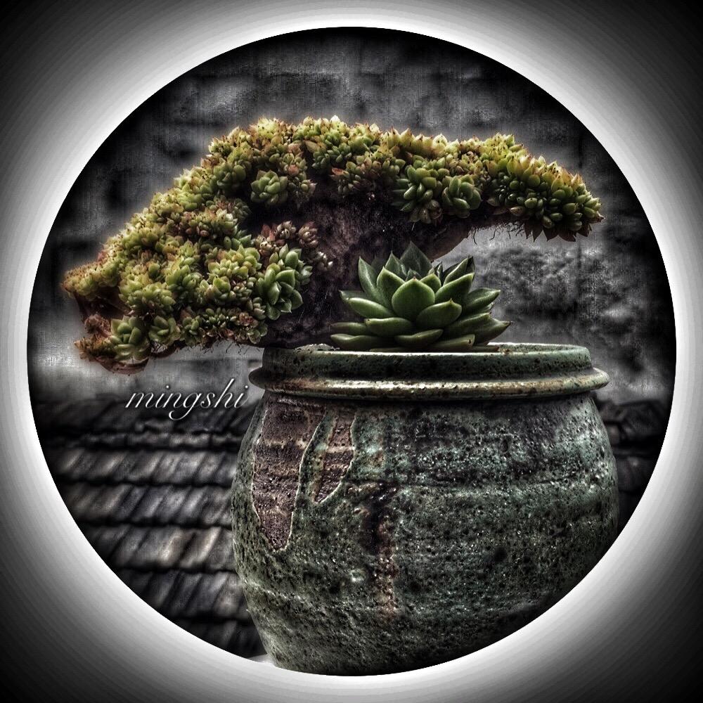 萌雅居