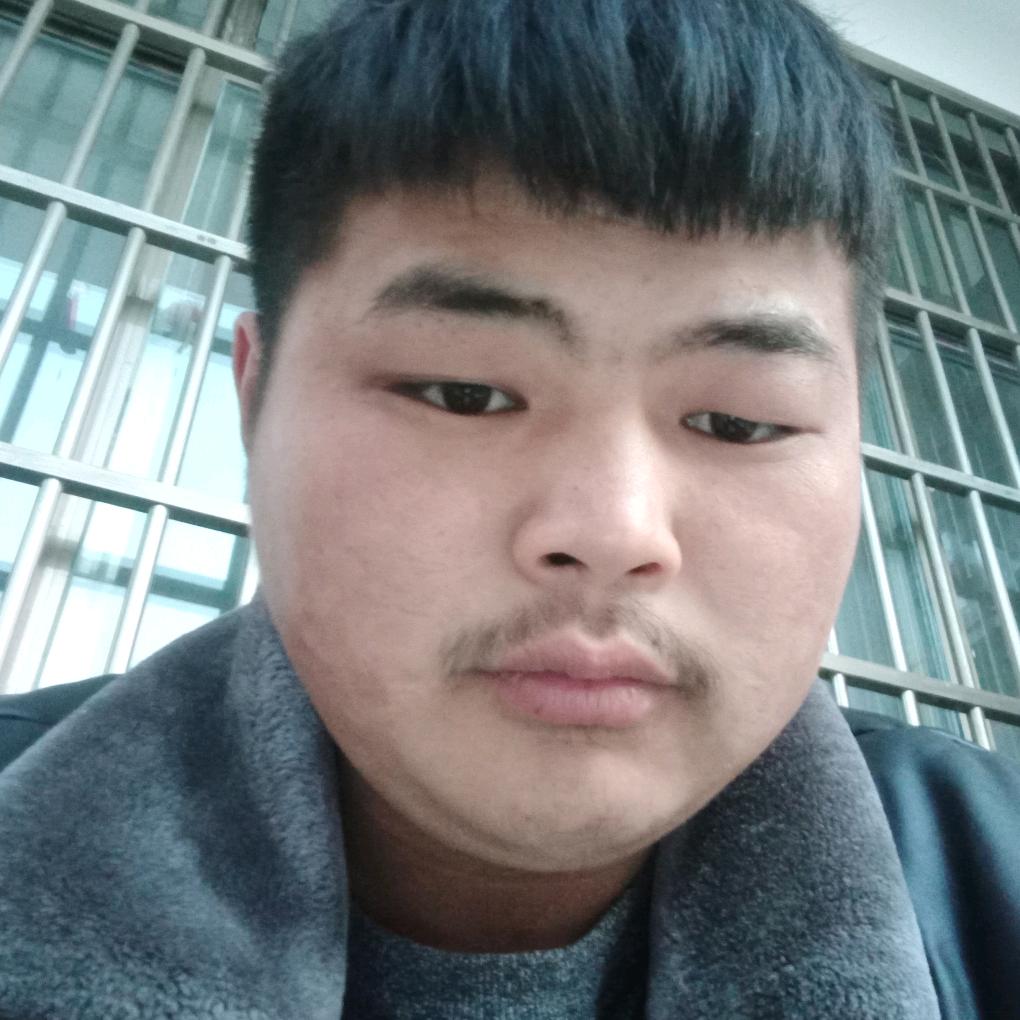 晨晨