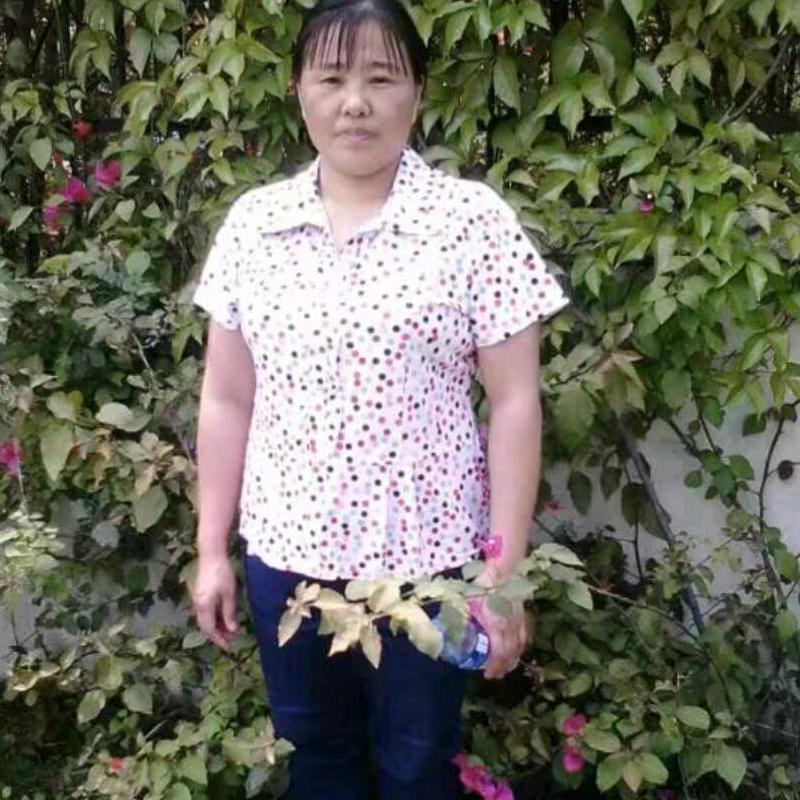 我的心谁能懂