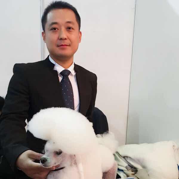 养哈士奇的单身男人