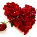 我把来生许给你