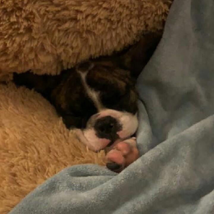 王桑🐽