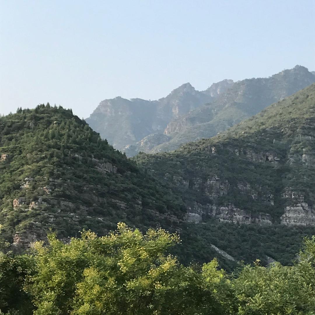 露芳商贸