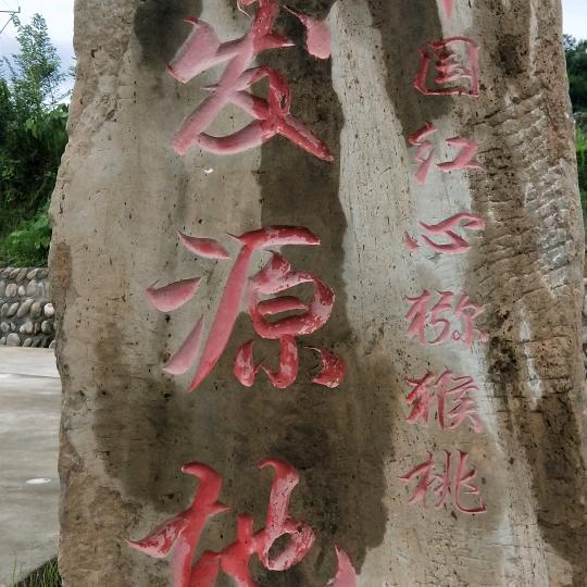 猕缘共享农庄～百果之王～红心果