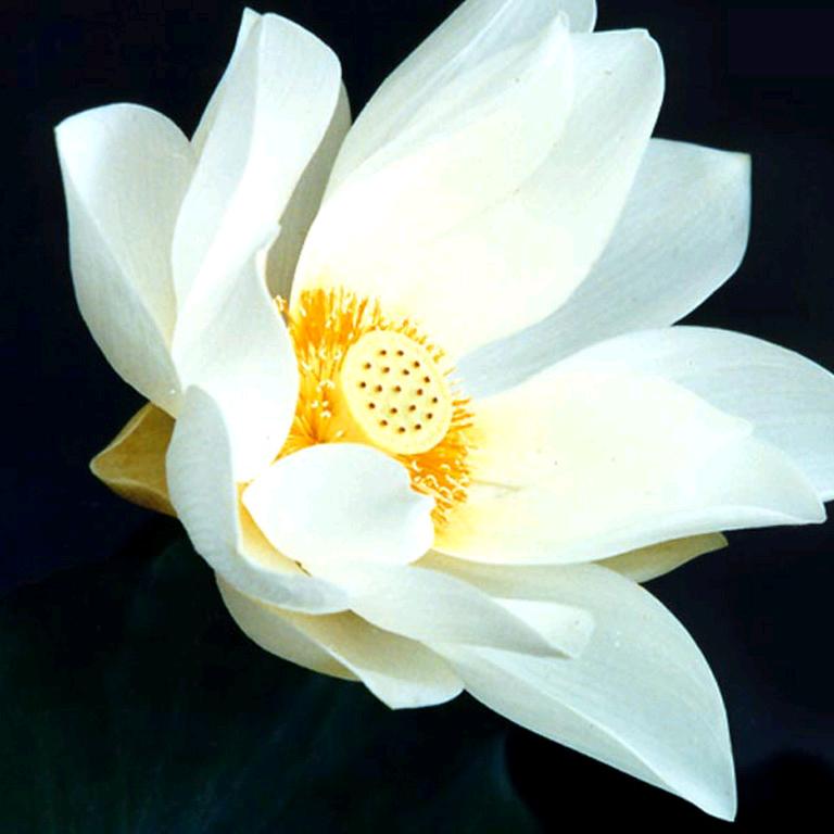 不离