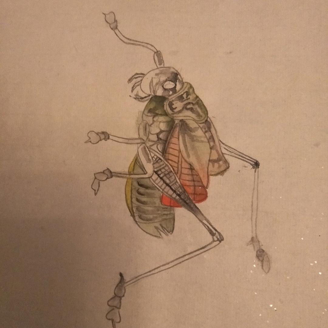 我不懂禅