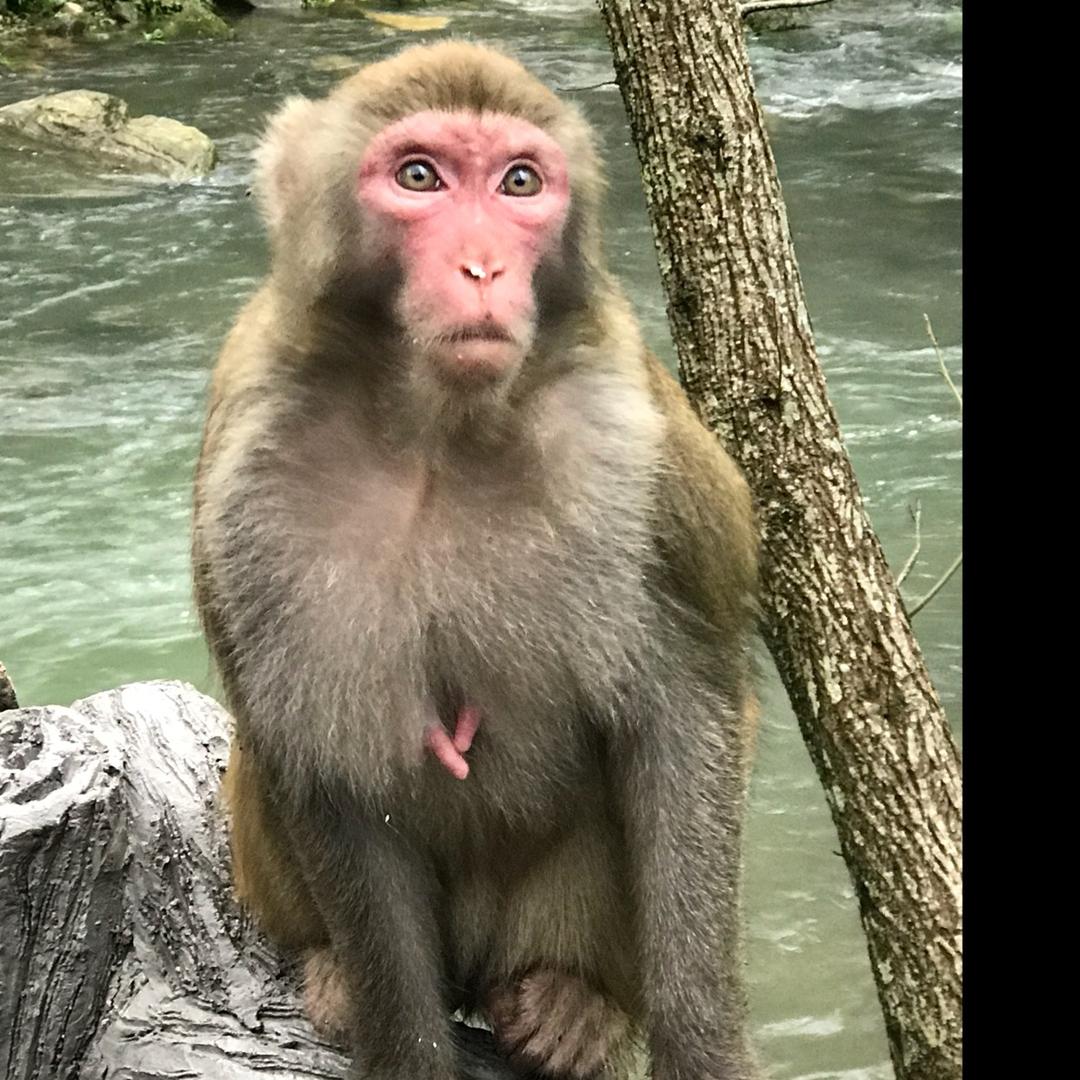 信仰