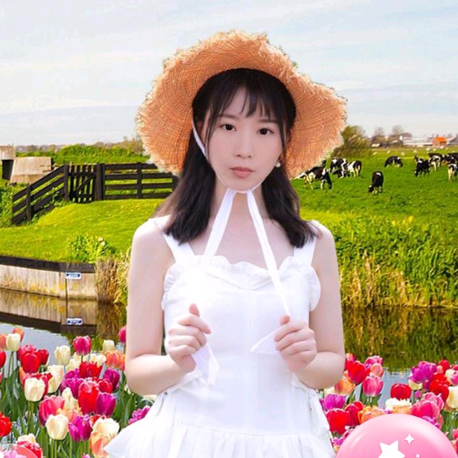 最真的梦