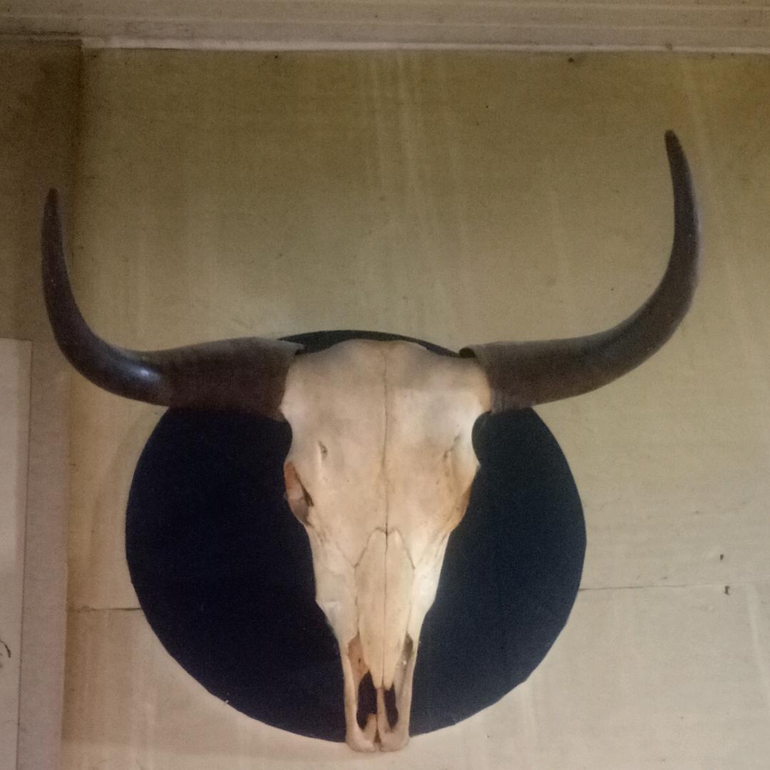 电焊加工  小毛