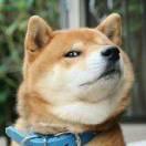 假名字