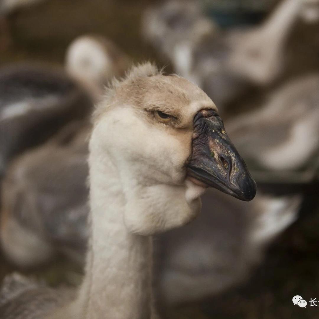 别问我什么都不知道