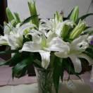 一起走过的时光