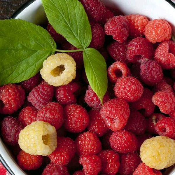 王者凤范(国亚装饰)