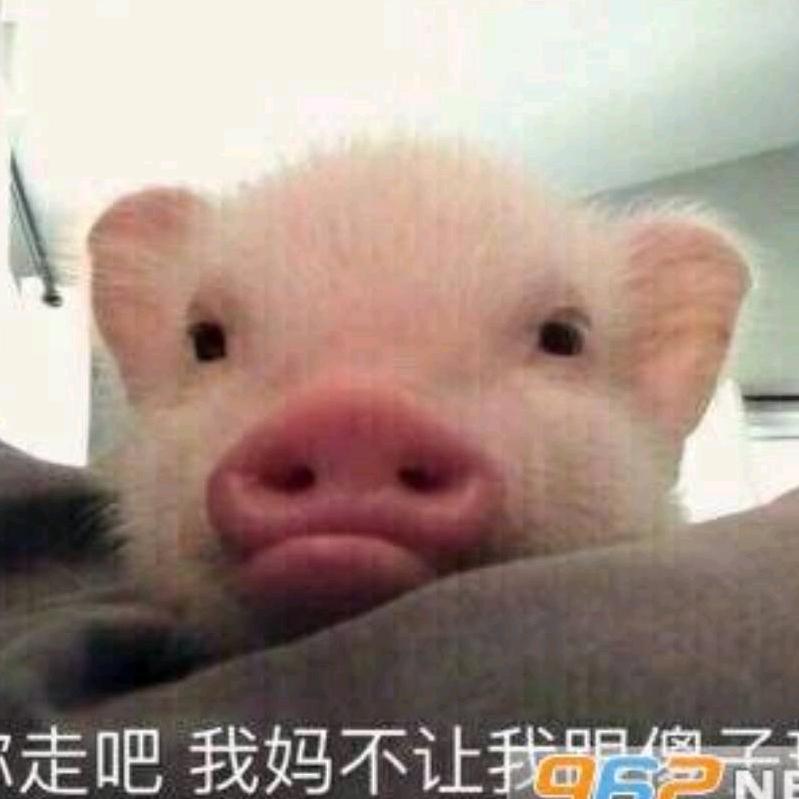 清…