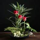 芬芬