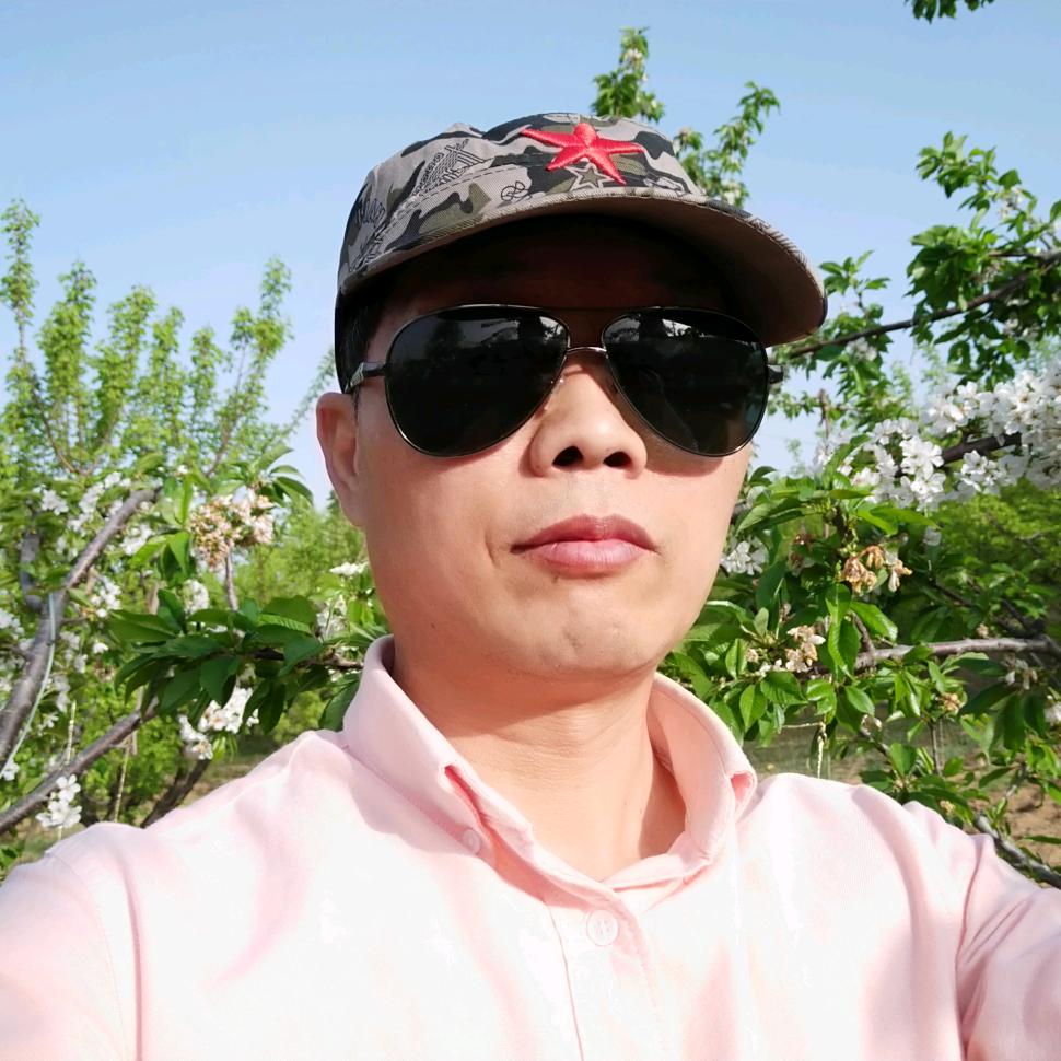 俊逸驰骋