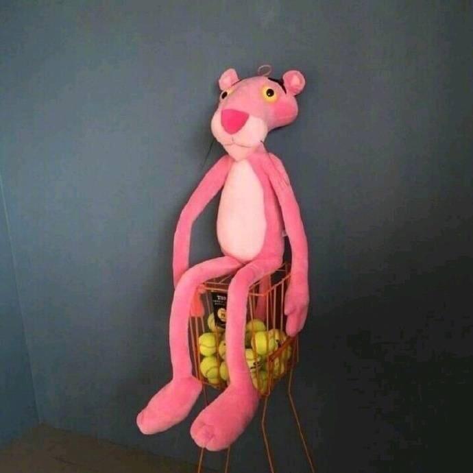 肉多多