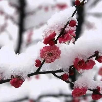 简体美(江岸国际店)