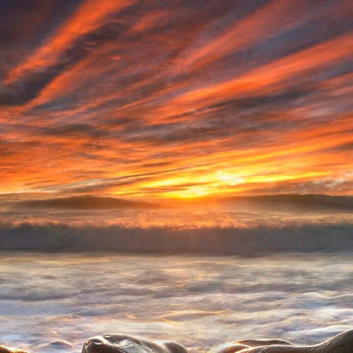 海欣
