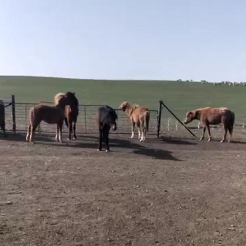 ᠡᠷᠳᠡᠮᠲᠦ