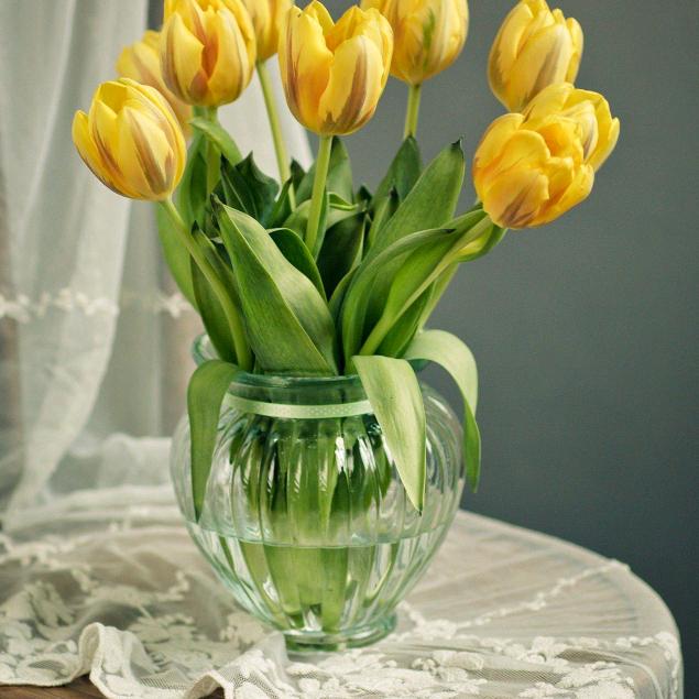 开心一笑🌷