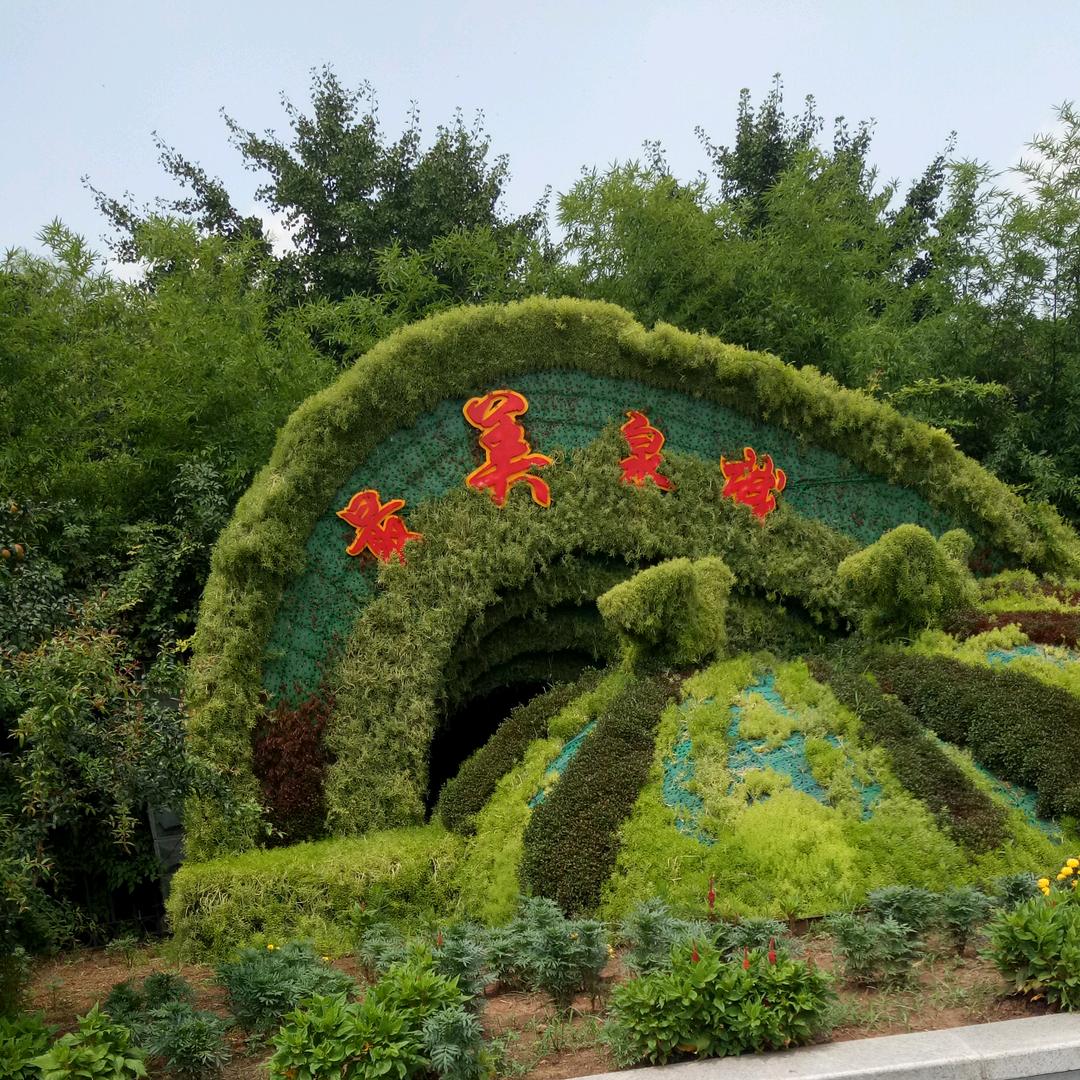 听风的蝉