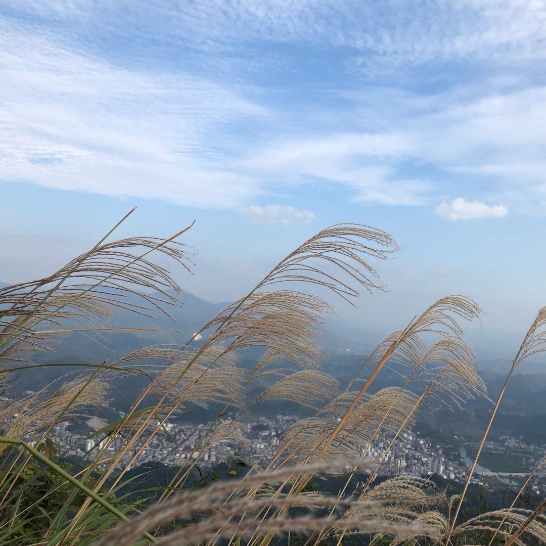 火柴天堂