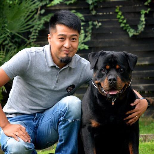 曹澄的唯克罗威纳犬舍