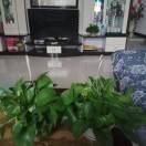 只求一生平安幸福