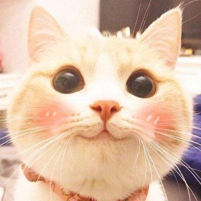 @自然系