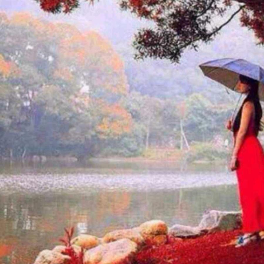 用户阳光下的风景