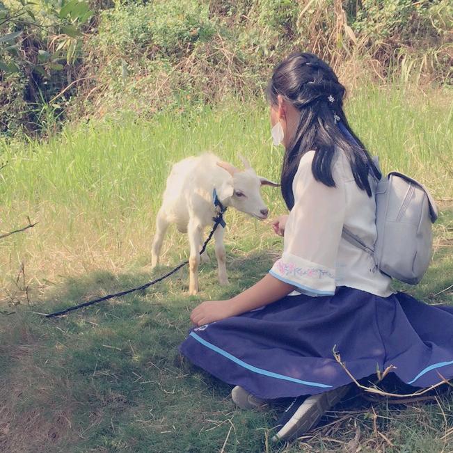 不露脸熊猫
