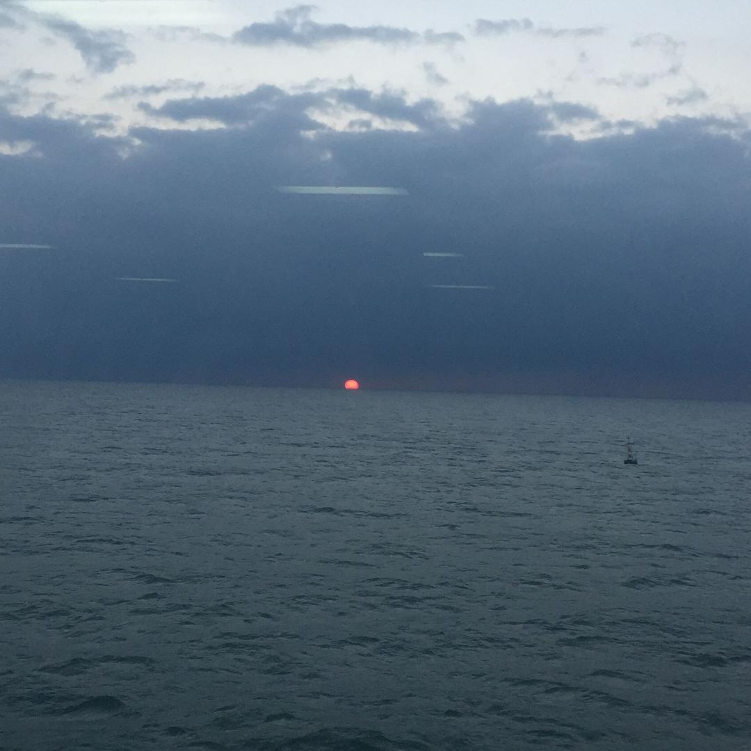 霓虹灯下的夜归人
