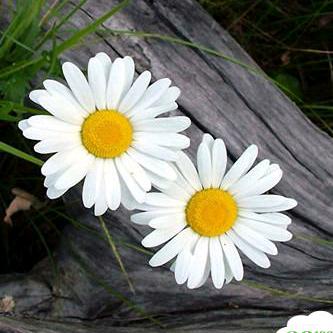 蚌埠一个转身就是一生