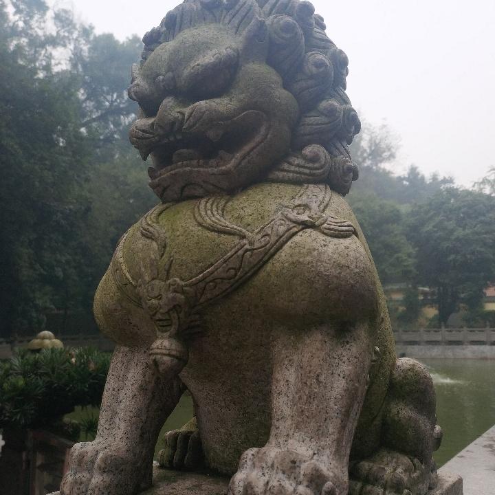 蔷薇小院