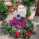 驿站(周姐)《拒私聊》