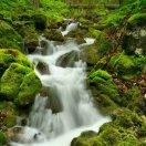 山青水秀🐂刘哥🌿🌿🌿