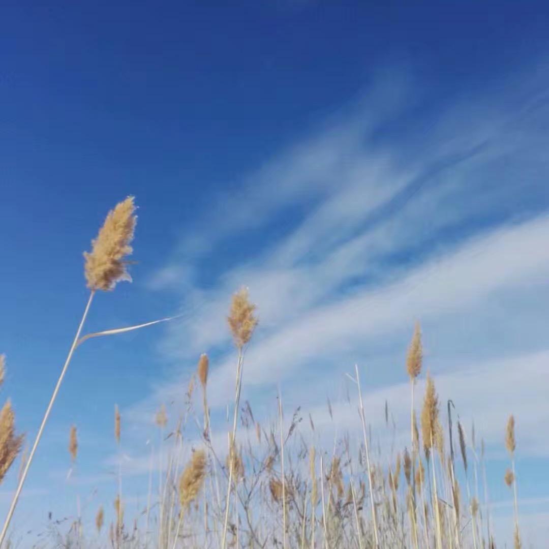 贝贝熊