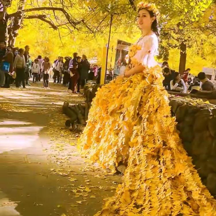 走马观花