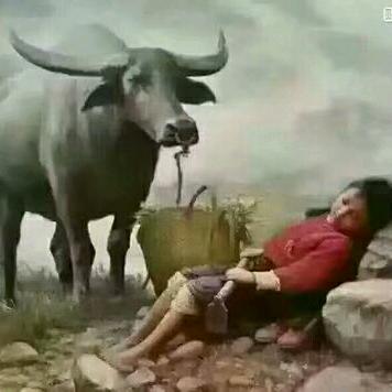 龙毅肉品批发配送