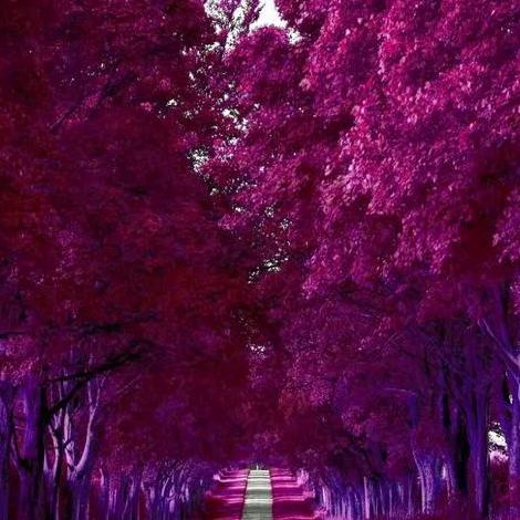 用户1386701692473姐有脾气