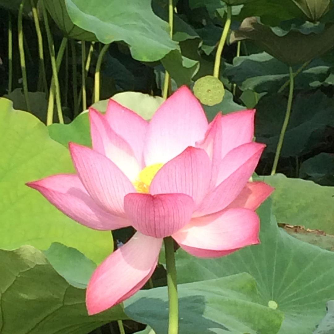深秋